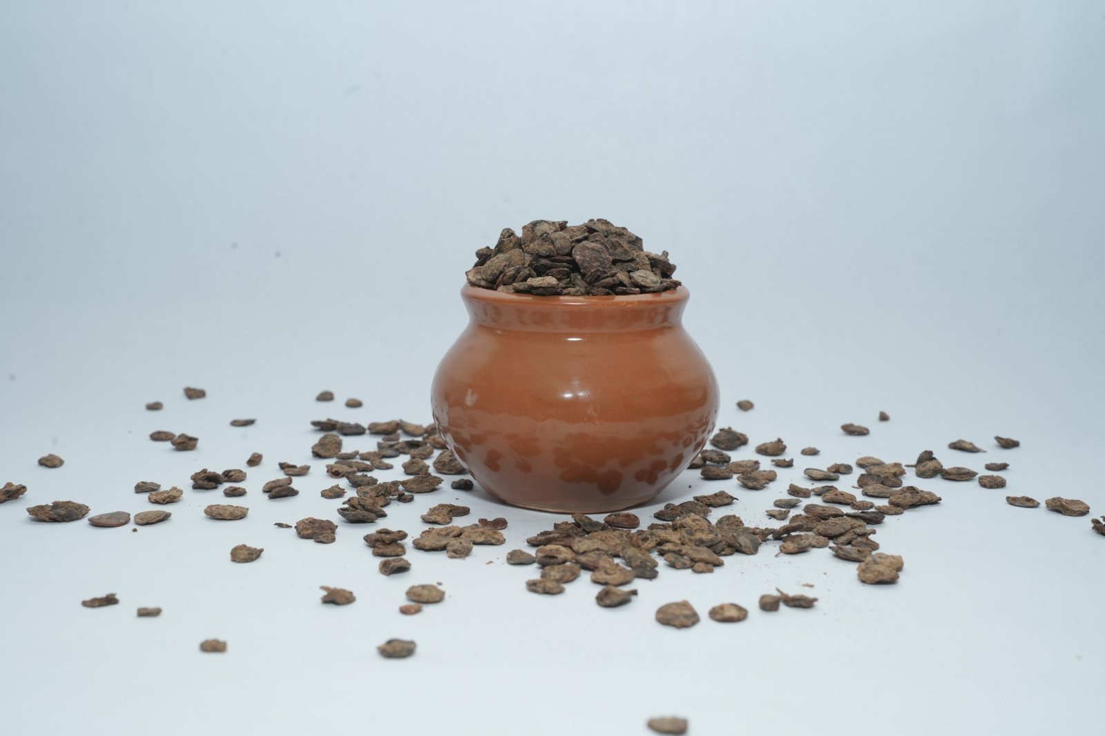 Rajasthani Kumatiya