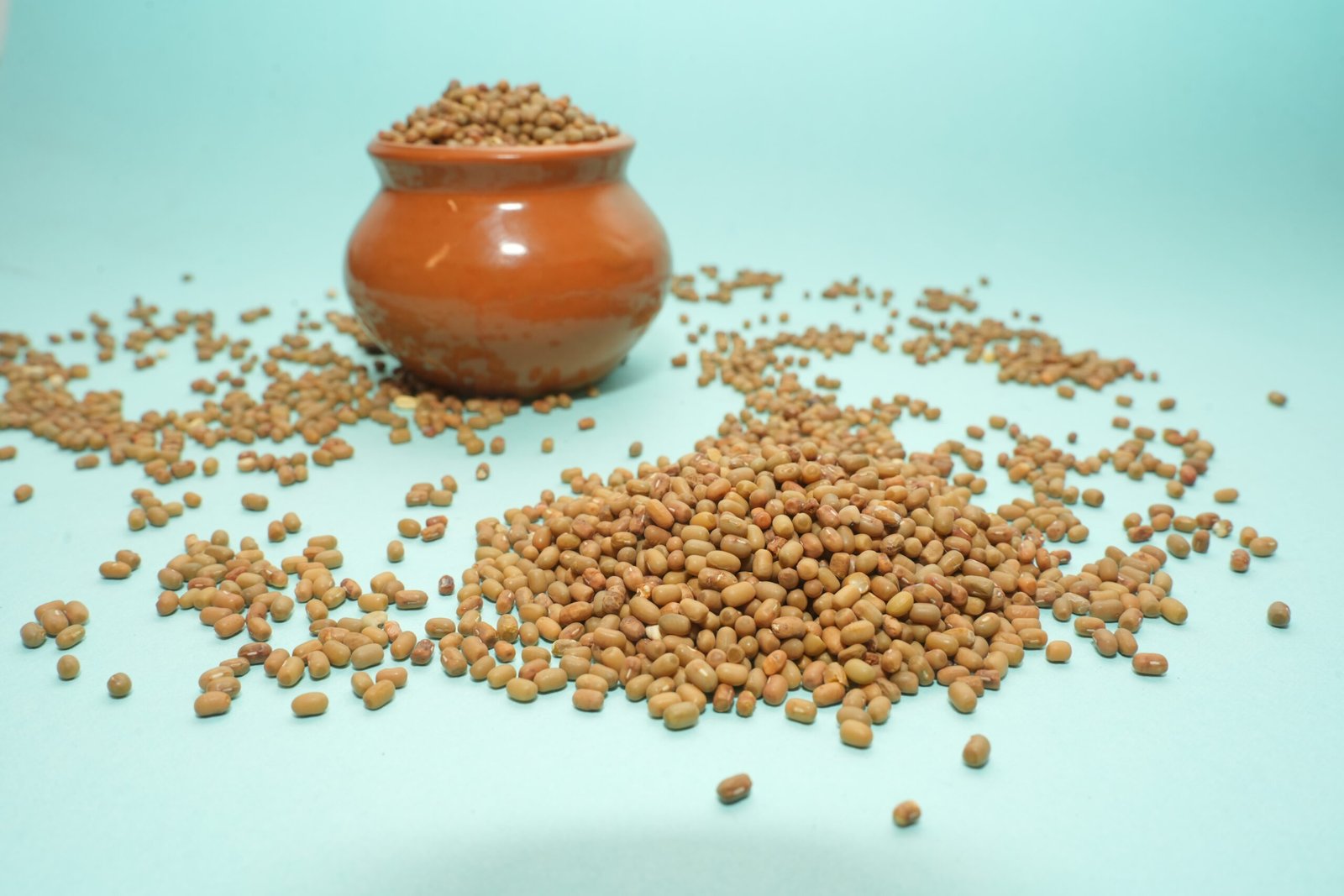 Moat Seeds