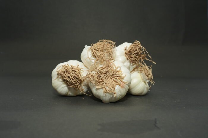 Garlic