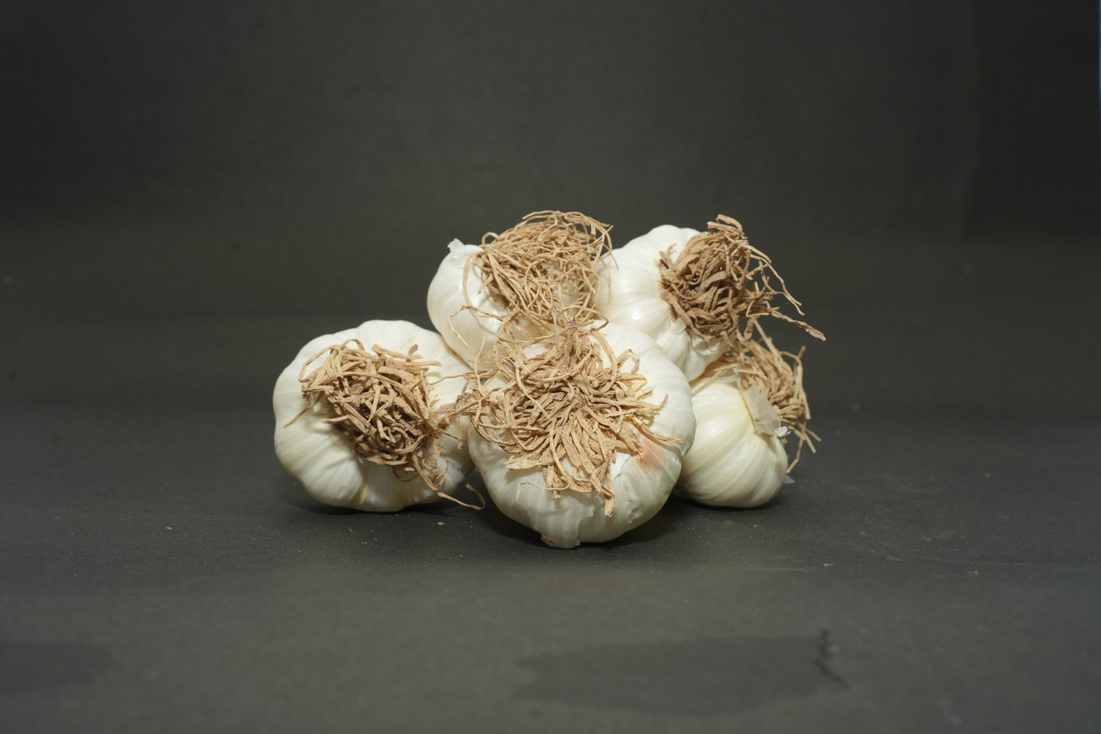 Garlic