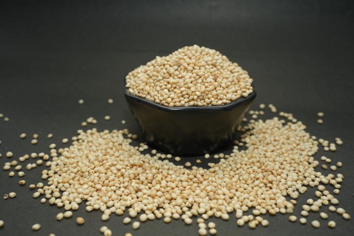Sorghum Seeds
