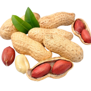peanuts-close-up_943166-3394