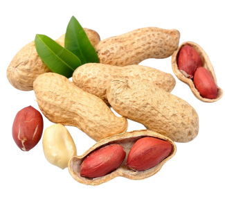 peanuts-close-up_943166-3394