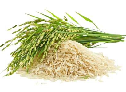 png-rice-plant-food-white-background_53876-624064